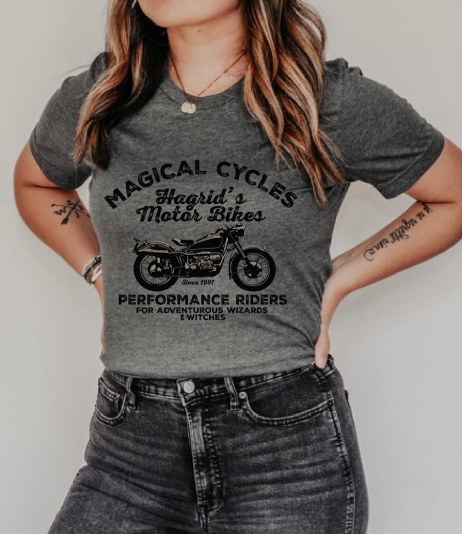 Hagrid's Motor Bikes (Harry Potter)-1
