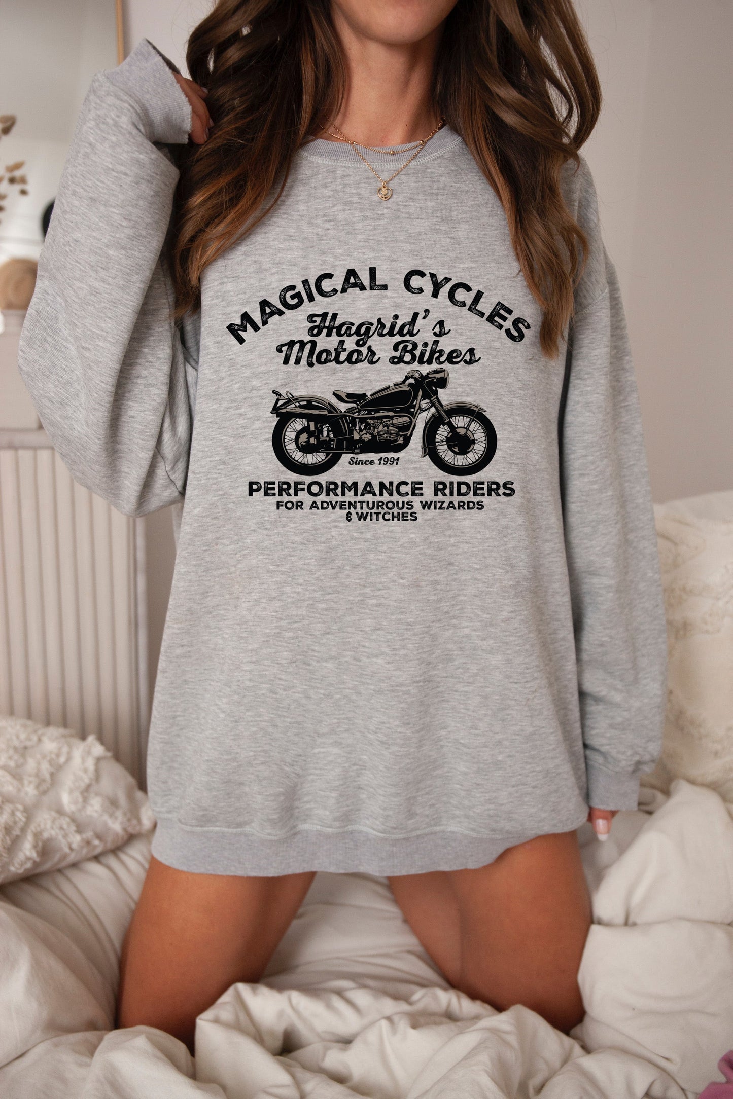 Hagrid's Motor Bikes (Harry Potter)-2